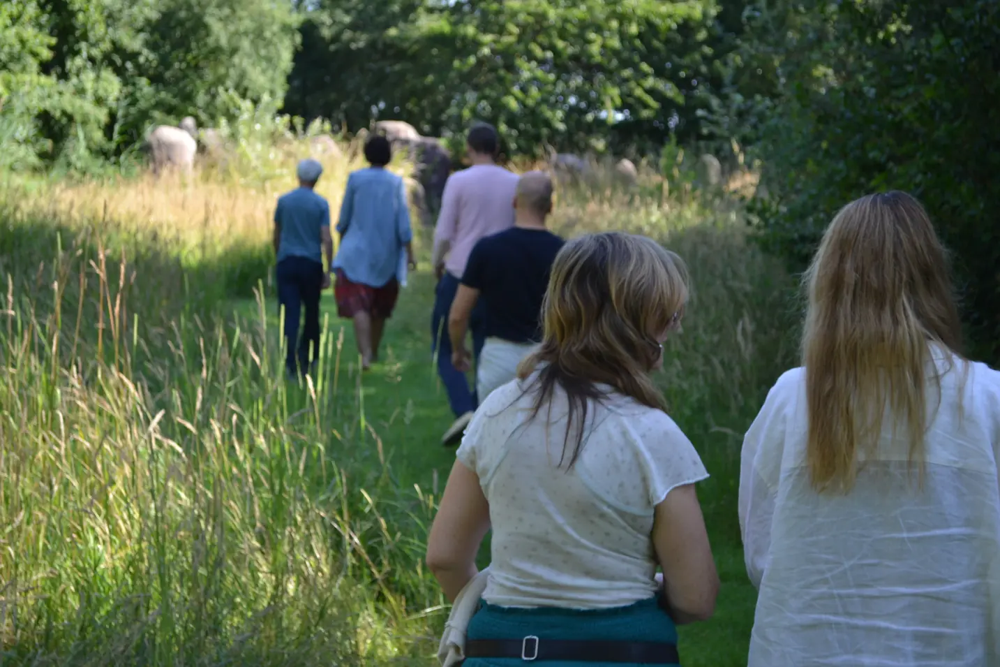 Retreat participants walking together along a woodland path.